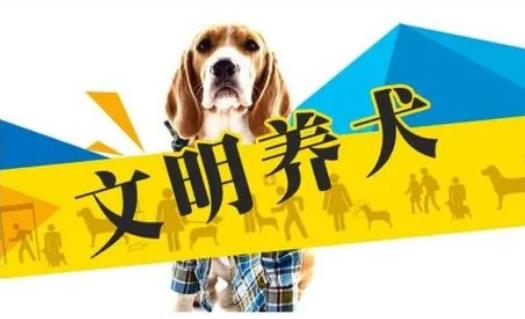 2023年3月1日起施行！《黃石市養(yǎng)犬管理條例》來了